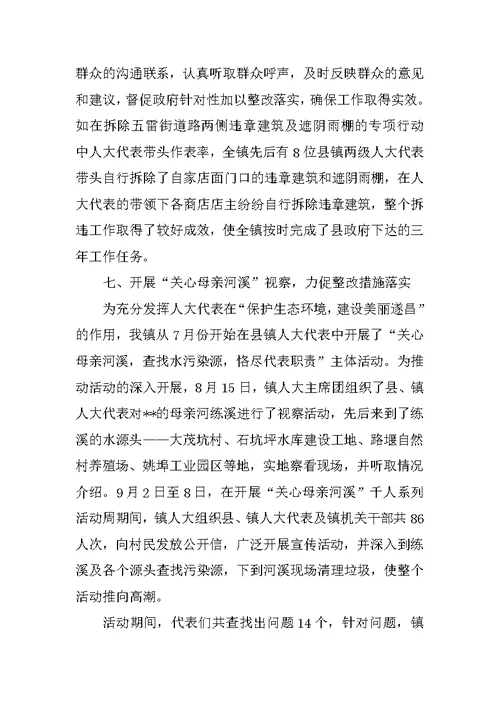 乡镇人大工作总结3000字