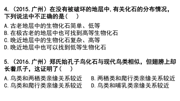 八下 第七单元复习课件(共58张PPT)
