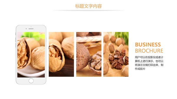 休闲美食美味坚果干果核桃宣传PPT模板