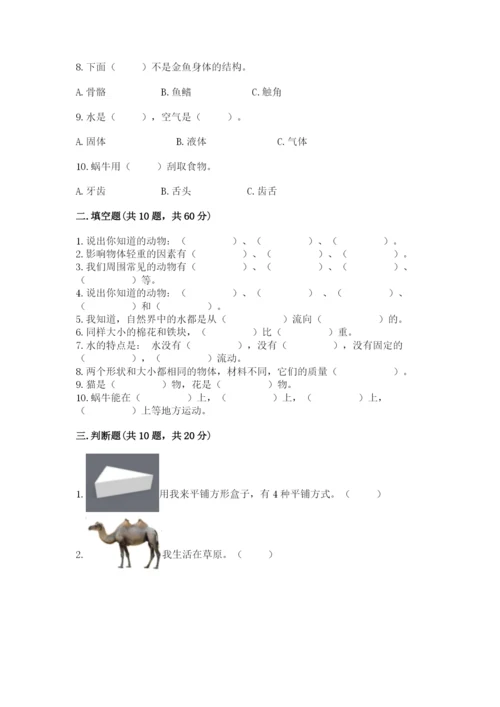 教科版一年级下册科学期末测试卷含下载答案.docx