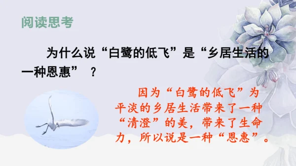 《1 白鹭》课件