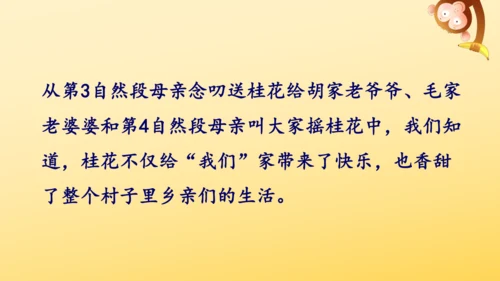 3 桂花雨   课件