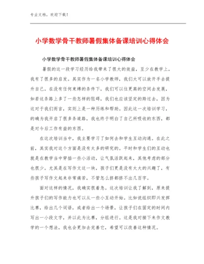 2024年小学数学骨干教师暑假集体备课培训心得体会优选范文30篇.docx