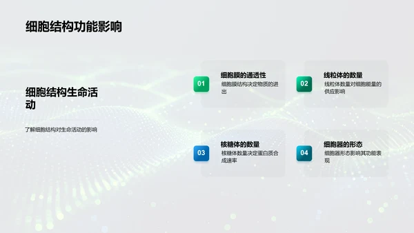 细胞结构与功能