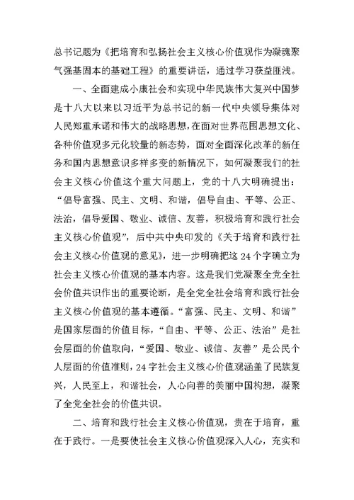 在培育和践行社会主义核心价值观专题学习发言材料