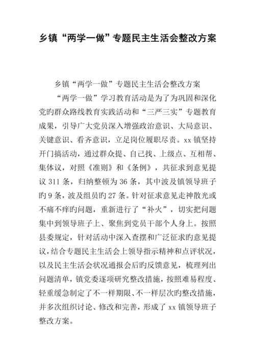 乡镇两学一做专题民主生活会整改方案.docx