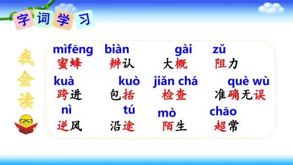 14《蜜蜂》课件