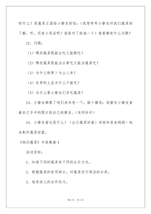 2022《认识蔬菜》中班教案.docx