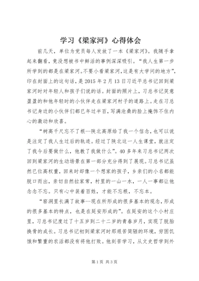 学习《梁家河》心得体会 (11).docx