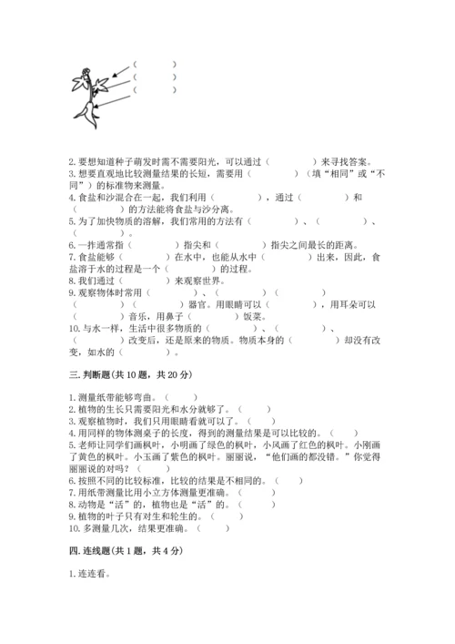 教科版一年级上册科学期末测试卷精华版.docx