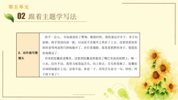 统编版语文四年级上册2024-2025学年度第五单元习作： 生活万花筒（课件）
