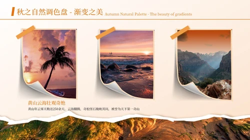 黄色简约风图文排版PPT版式合集