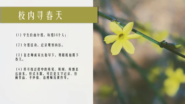 立春简约风二十四节气实践教学课件通用PPT模板