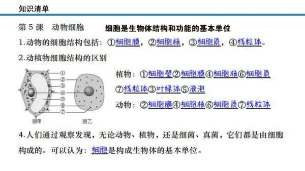 人教版生物七年级上册第一单元《生物与细胞》单元复习课件(共53张PPT)