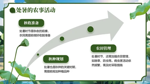 绿色3D风处夏节气主题班会