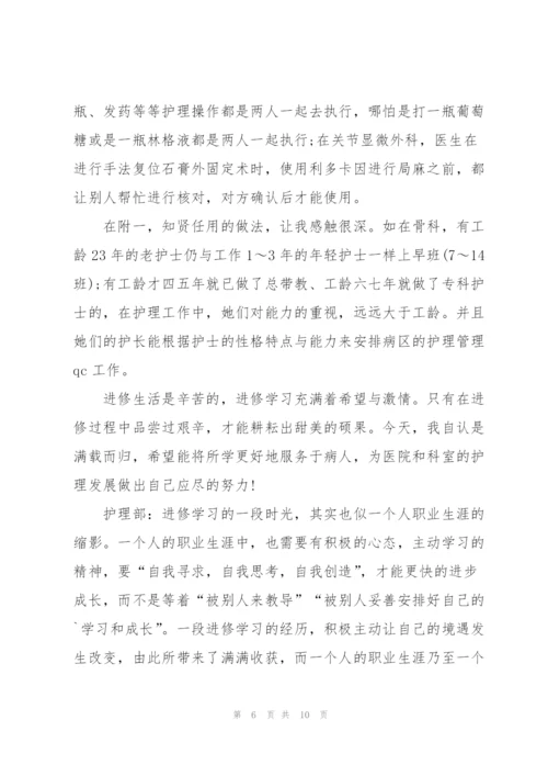 护士个人进修工作总结.docx