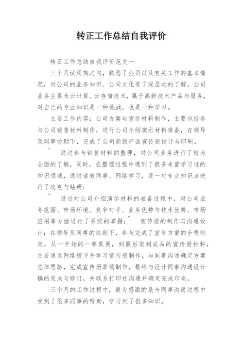 转正工作总结自我评价.docx