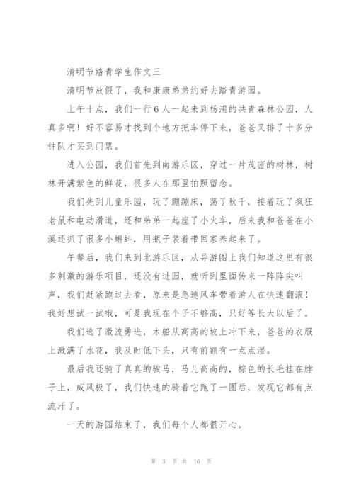 清明节踏青学生作文10篇.docx