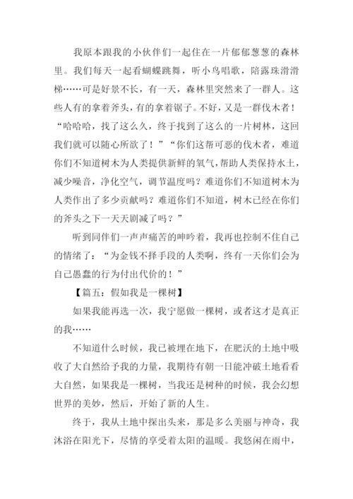 假如我是一棵树作文300字.docx