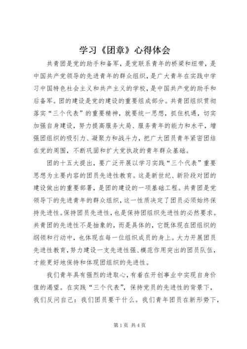 学习《团章》心得体会.docx