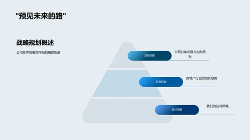 创新战略年中报告