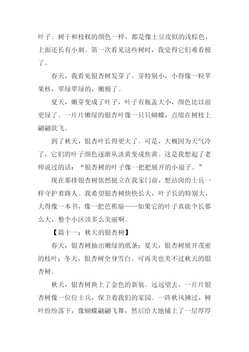 关于杏树的作文300字.docx