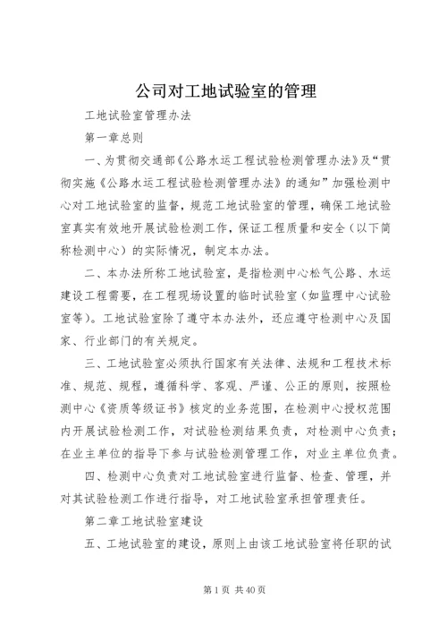 公司对工地试验室的管理.docx