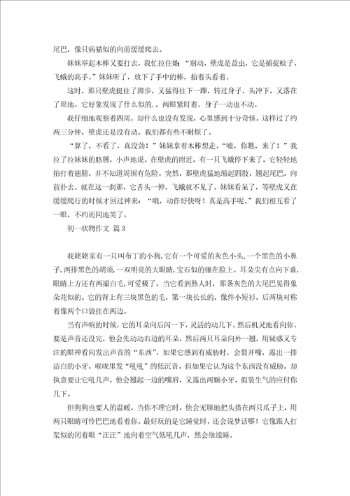 初一状物作文三篇2