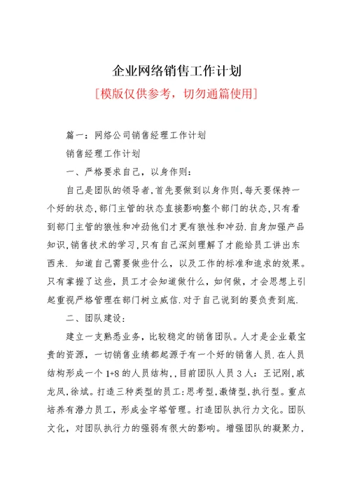 企业网络销售工作计划(共12页)