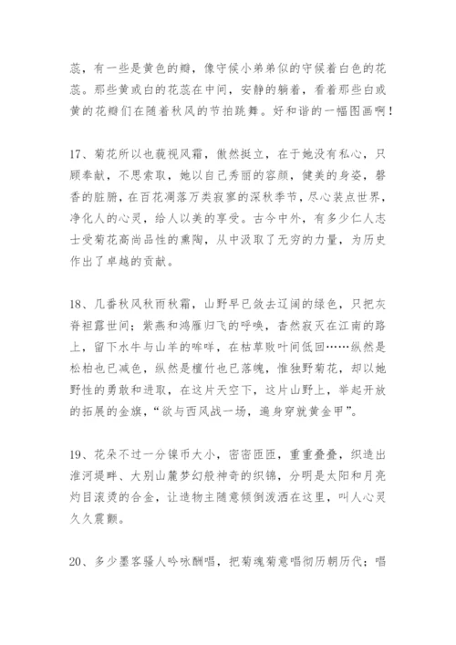 描写野菊花的好词好句好段优美好段作文.docx
