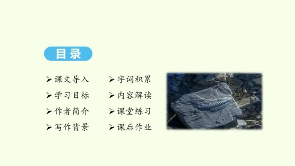 第8课 时间的脚印 统编版语文八年级下册 同步精品课件