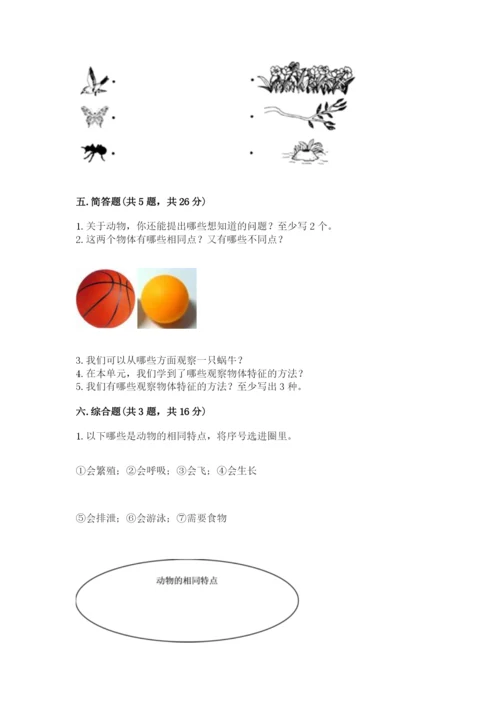 教科版一年级下册科学期末测试卷附完整答案（易错题）.docx