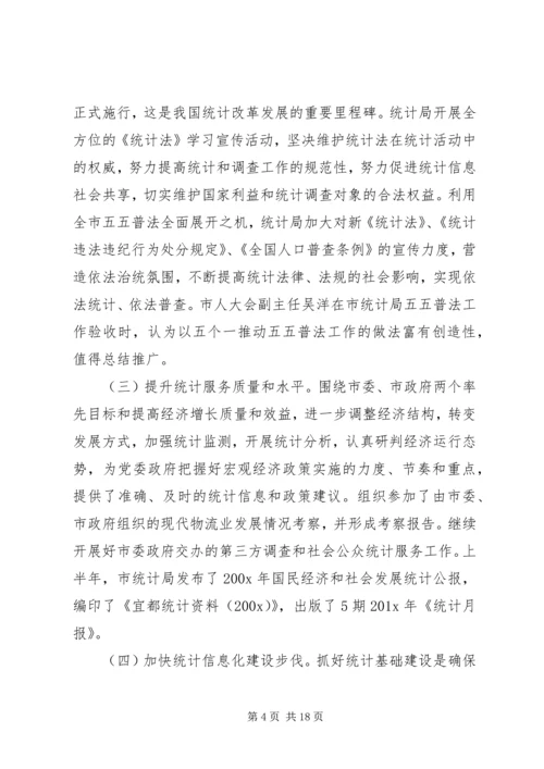 乡镇统计个人工作总结与计划.docx