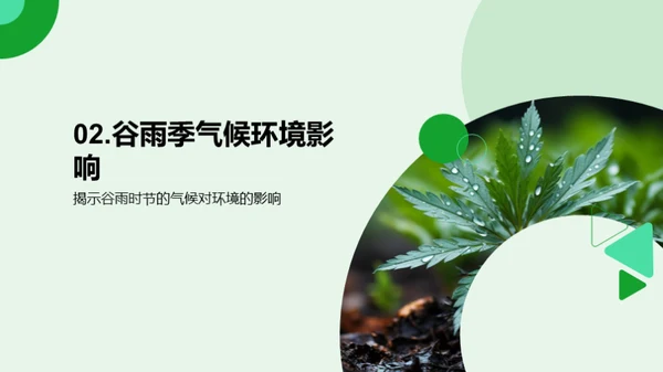 谷雨节气与环保