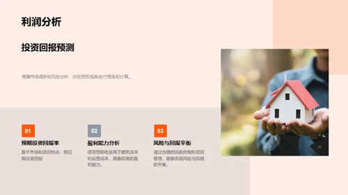 项目投资策略解析