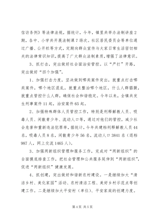 乡镇综治信访办年度工作总结.docx