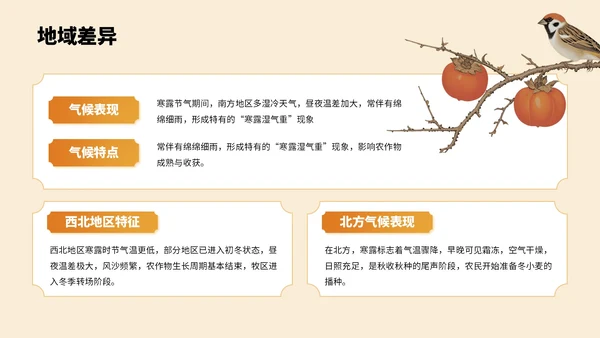 橙色中国风寒露节气PPT模板