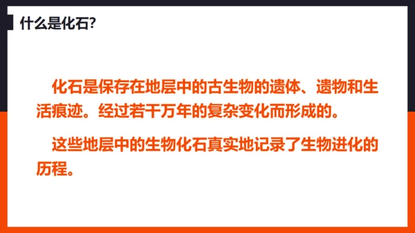 生命起源和生物进化企鹅通用PPT模板