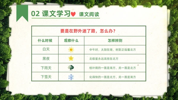 绿色简约实拍要是你在野外迷了路二年级语文下册说课PPT课件小学语文二年级下册课件