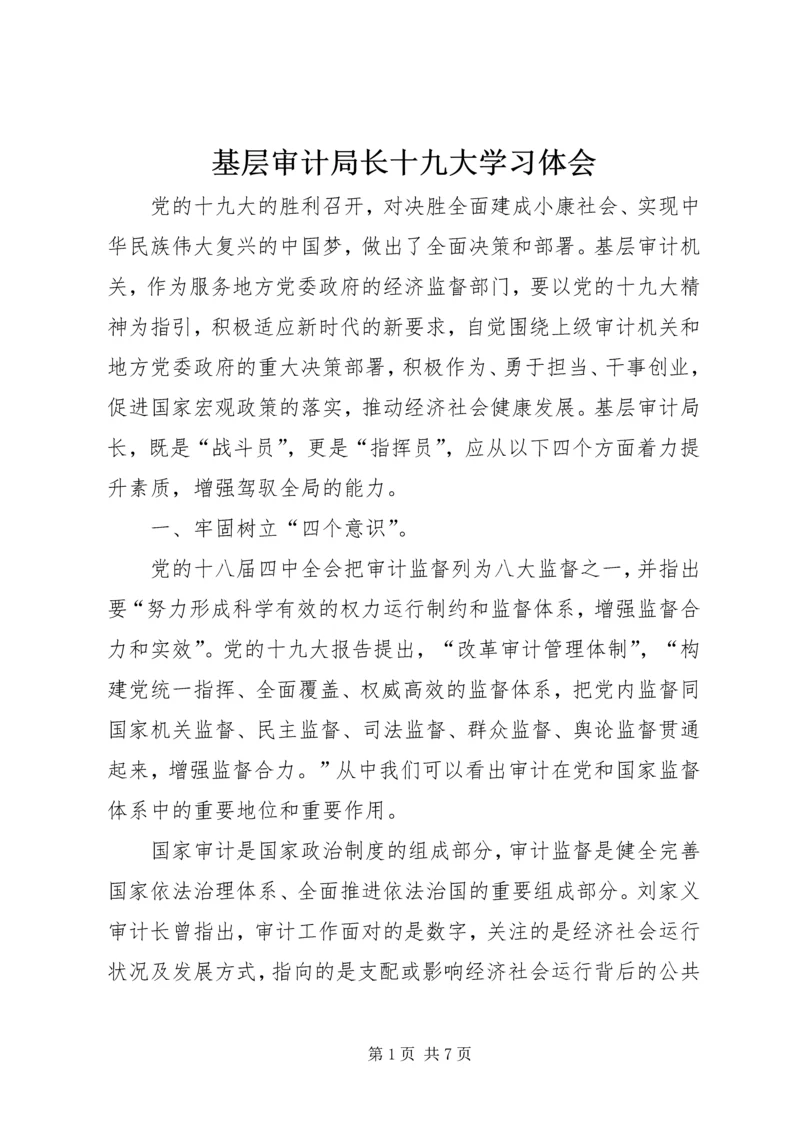 基层审计局长十九大学习体会.docx