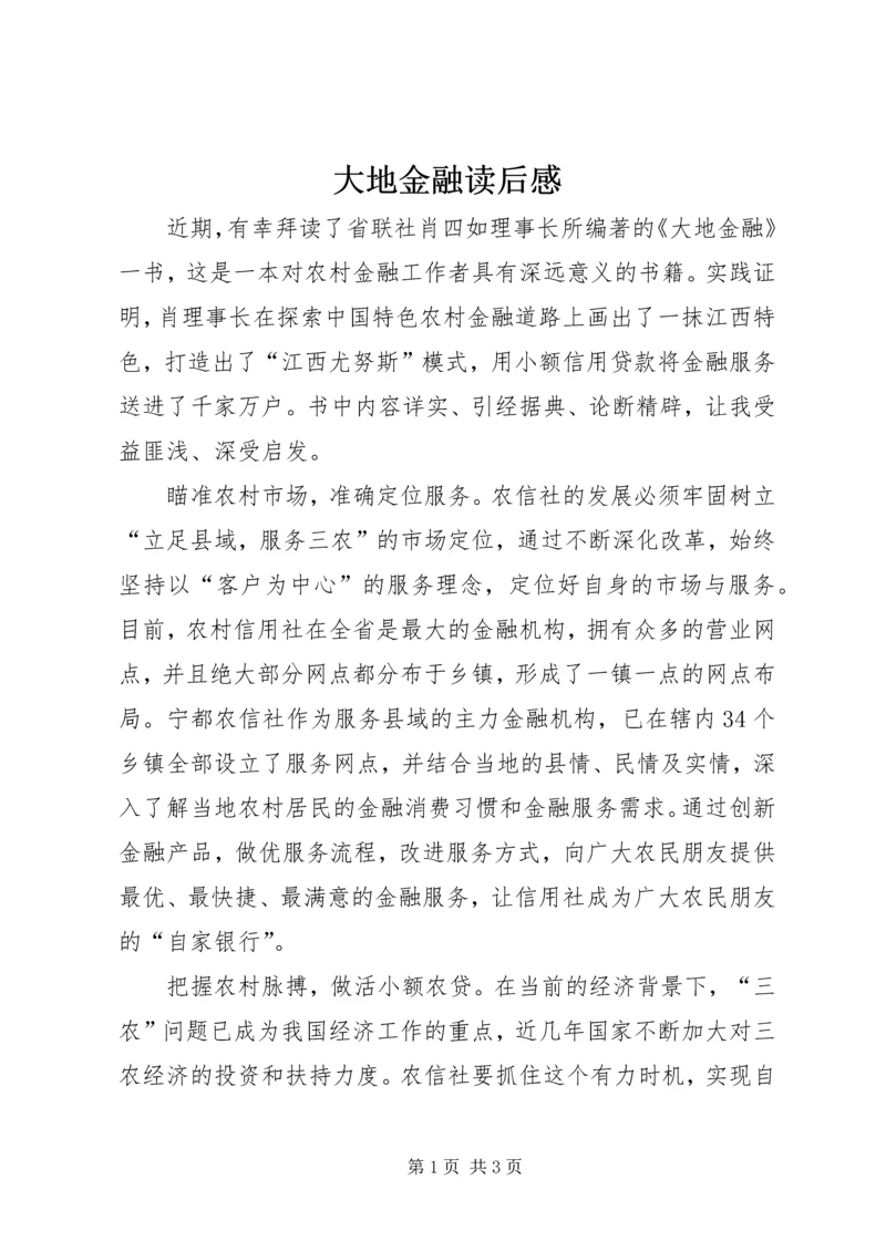 大地金融读后感.docx