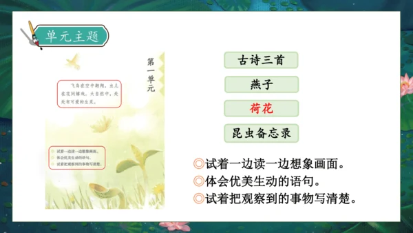 【核心素养】部编版语文三年级下册-3. 荷花 第1课时（课件）
