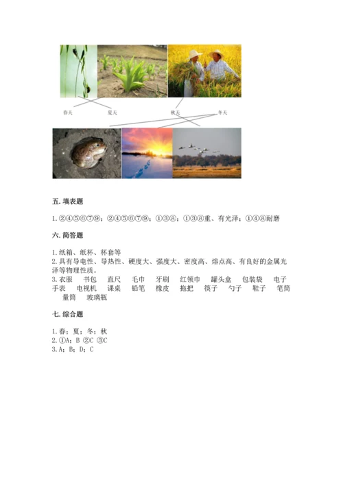 教科版科学二年级上册《期末测试卷》【考点梳理】.docx