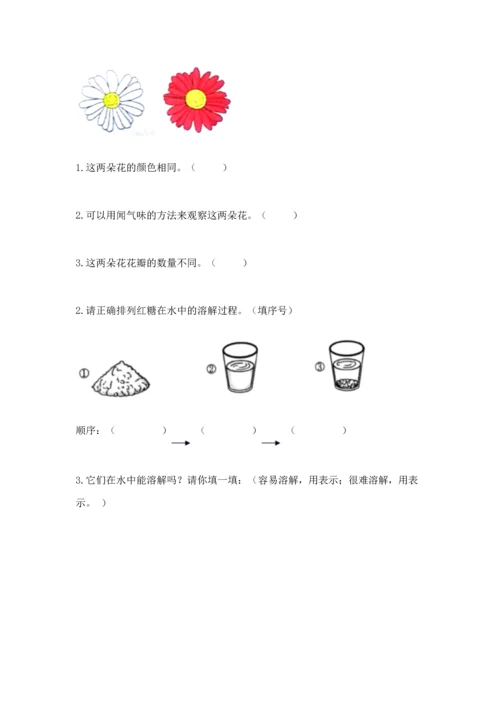 教科版一年级下册科学期末测试卷附参考答案【考试直接用】.docx