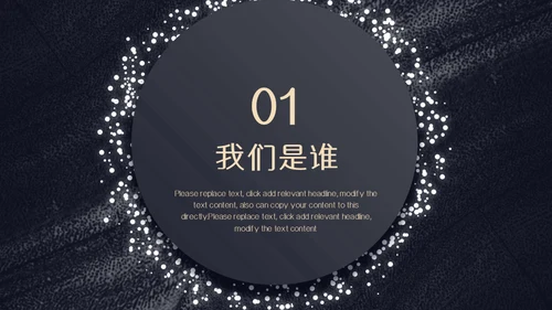 颗粒真皮质感计划书通用PPT模板