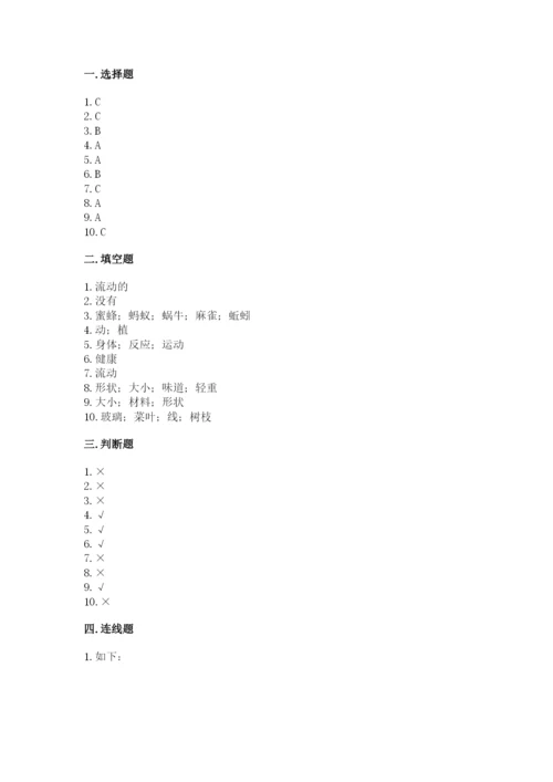 教科版一年级下册科学期末测试卷及参考答案（达标题）.docx