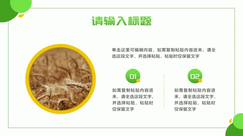 黄绿色几何实景乡村振兴新篇章PPT模板