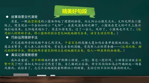 统编版语文三年级上册 第五单元习作： 我们眼中的缤纷世界课件
