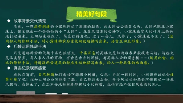 统编版语文三年级上册 第五单元习作： 我们眼中的缤纷世界课件