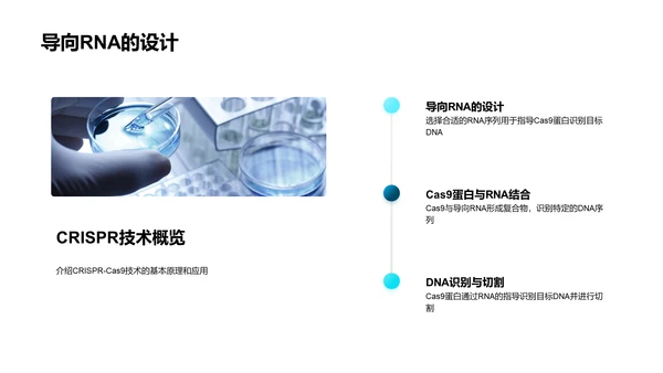 基因编辑技术入门